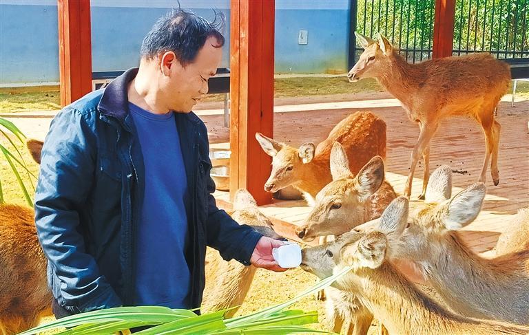 量发展产业调研】林下生金冰球突破正规网站【高质